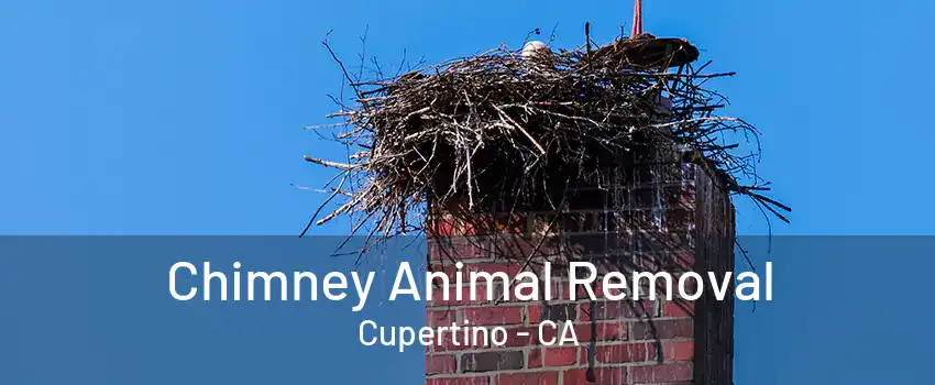 Chimney Animal Removal Cupertino - CA