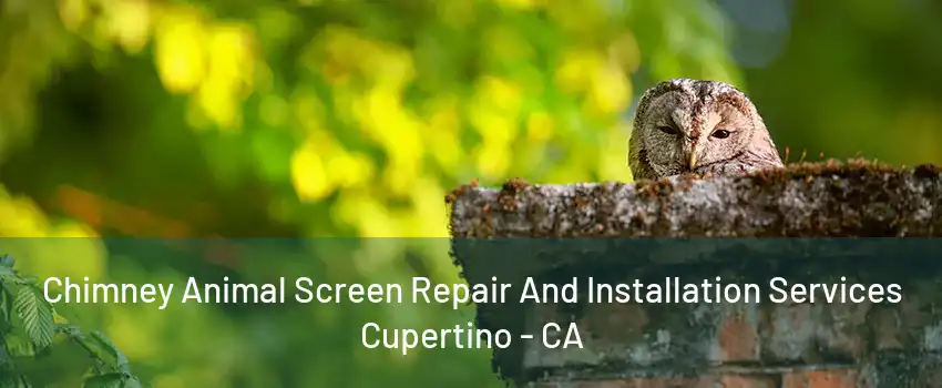 Chimney Animal Screen Repair And Installation Services Cupertino - CA