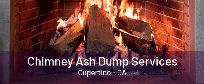 Chimney Ash Dump Services Cupertino - CA