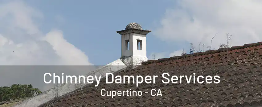 Chimney Damper Services Cupertino - CA