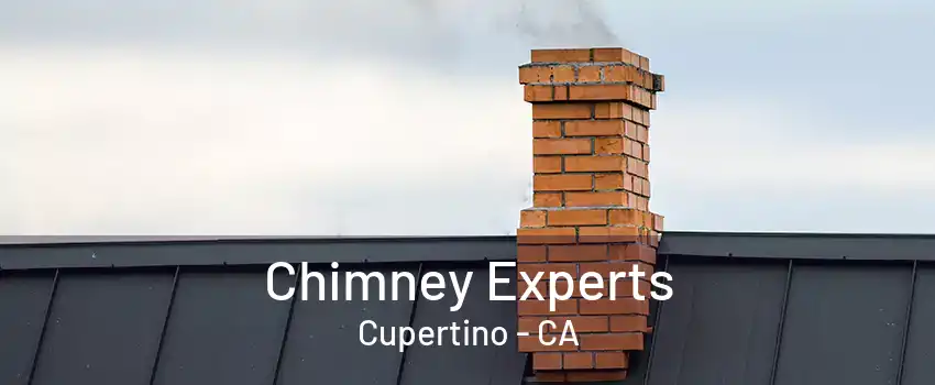 Chimney Experts Cupertino - CA