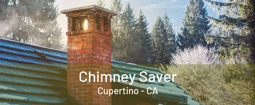 Chimney Saver Cupertino - CA