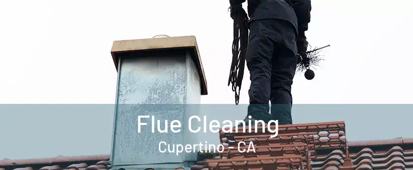 Flue Cleaning Cupertino - CA