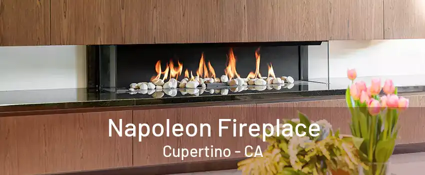 Napoleon Fireplace Cupertino - CA