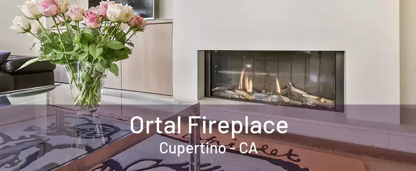 Ortal Fireplace Cupertino - CA